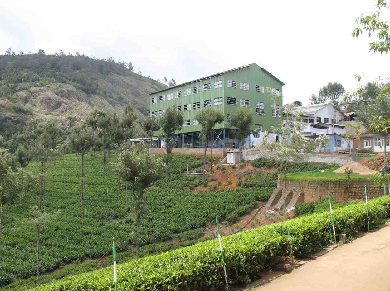 Bangalore to Ooty Hill Station Tour Package